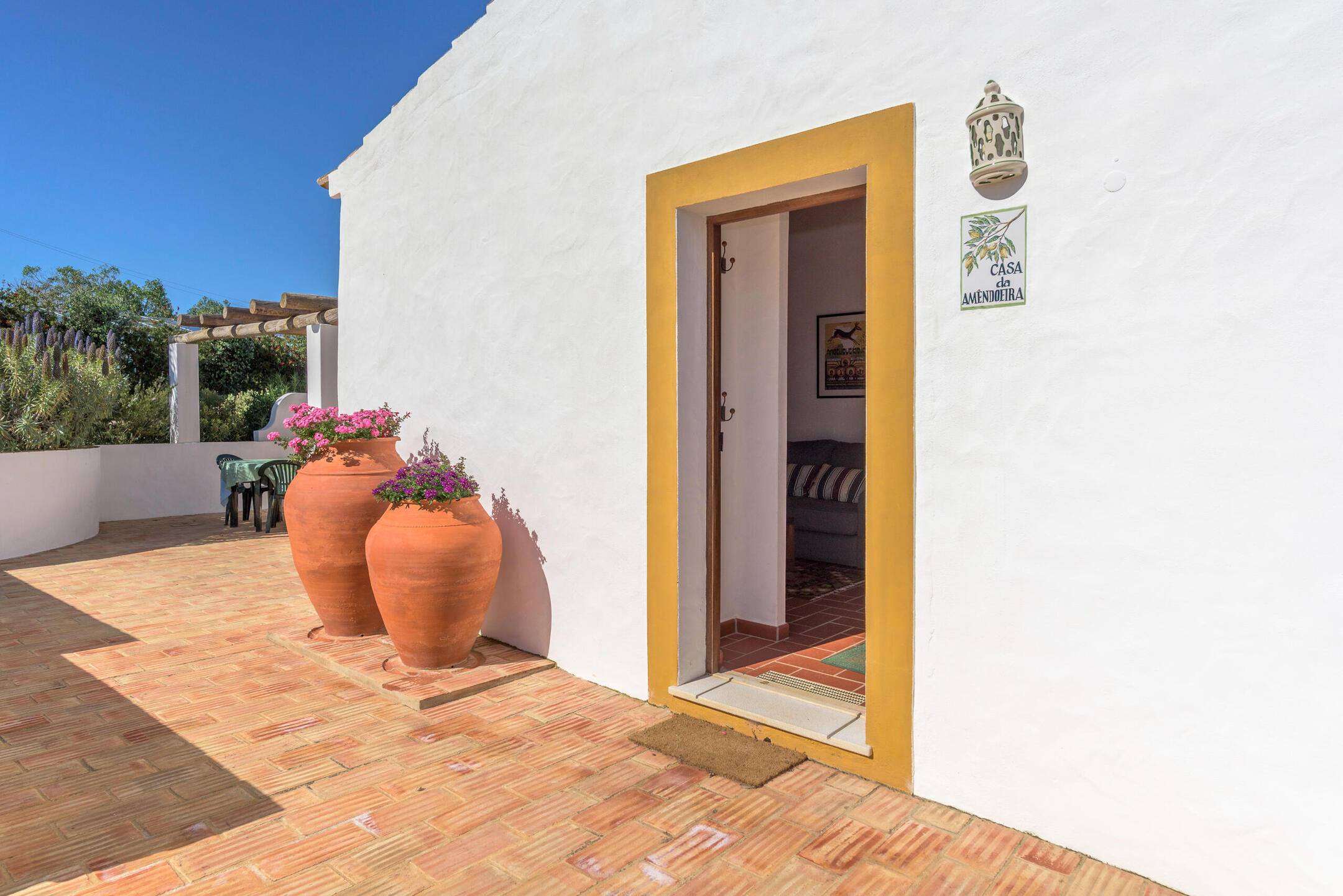 Amendoeira Amendoeira